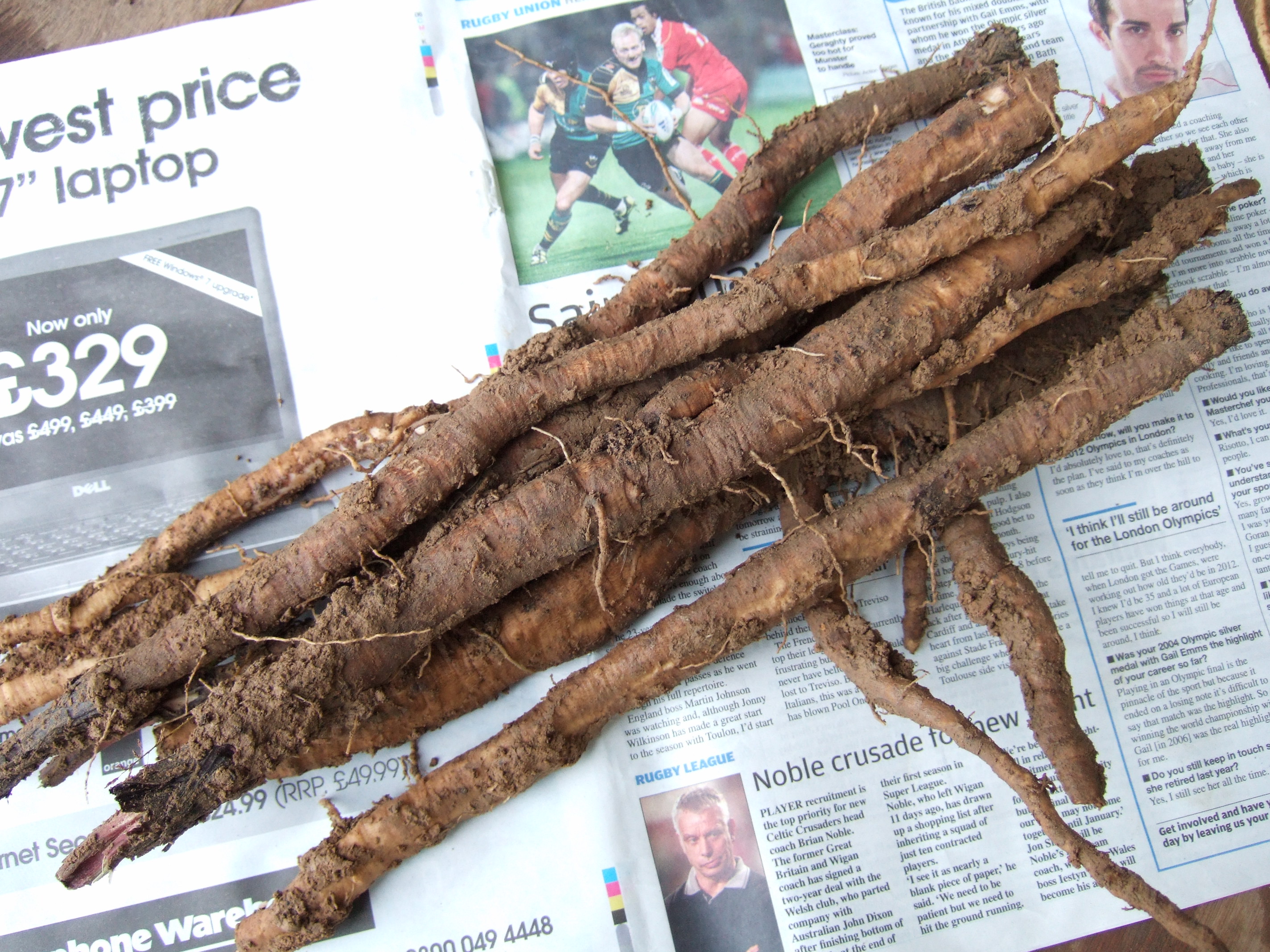 News Archive at NamaYasai LLP Growers of Japanese Vegetables in the UK